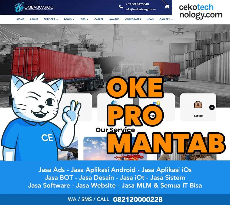 Jasa Pembuatan Website Waru