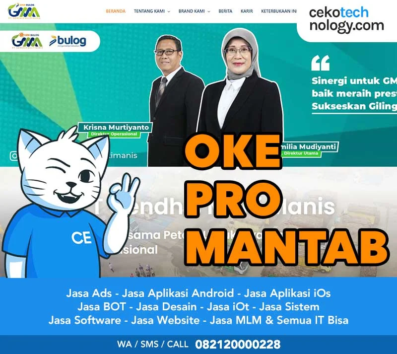 Jasa Pembuatan Website Wonoayu