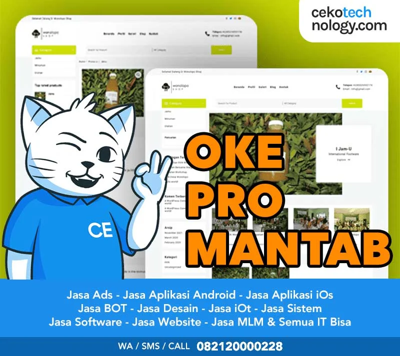 Pembuatan Website Ciruas