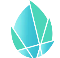 Logo FUMMI Blockchain Explorer
